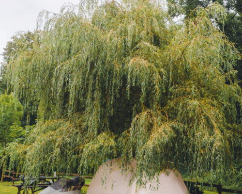 Glamping Virje Rooms Apartments Bovec House Soca Valley Kanin Slovenia Rafting Kayak Canyoning Monster Roller Adventure Park Hiking Cabins_00047_2