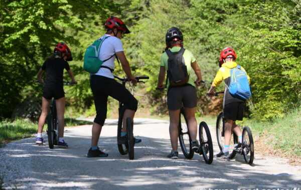 Monster roller_005_2