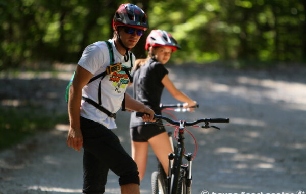 Monster roller_006_2