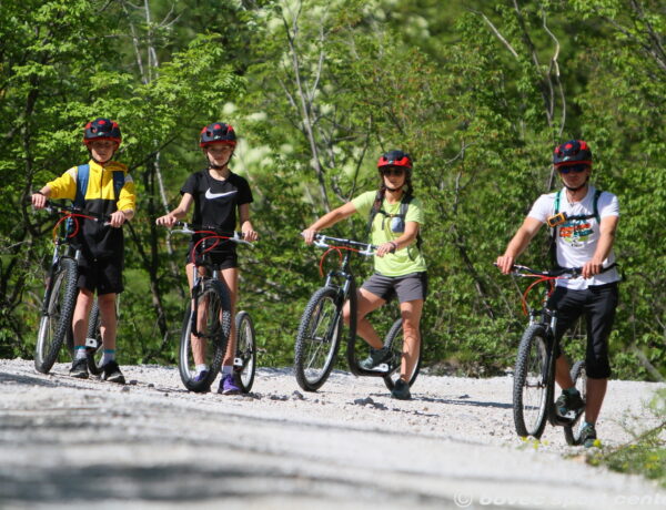 Monster-roller_bovec_05